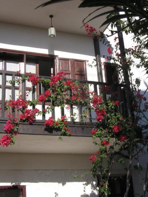 Kalkan Turk Evi ภายนอก รูปภาพ